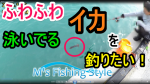 漁港で『イカ（ソデイカ？）』がふわふわ浮いていたので『サビキ仕掛けで引っ掛けてみた』のを見たよ(^^)/＠沖縄 浜比嘉大橋