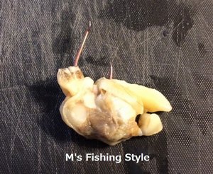 アサリのむき身 針の刺し方