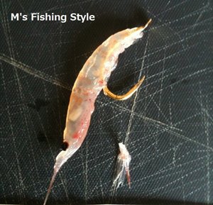 尻掛け オキアミの付け方