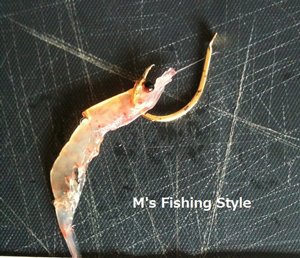 シラサエビ 鼻掛け