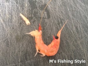 背掛け 遠投用　オキアミの付け方