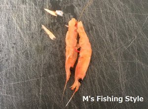 背掛け オキアミの付け方