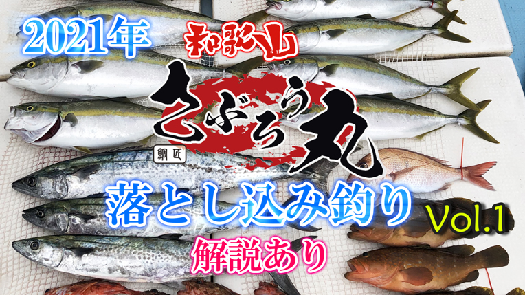 2021年落とし込みサビキサムネイル