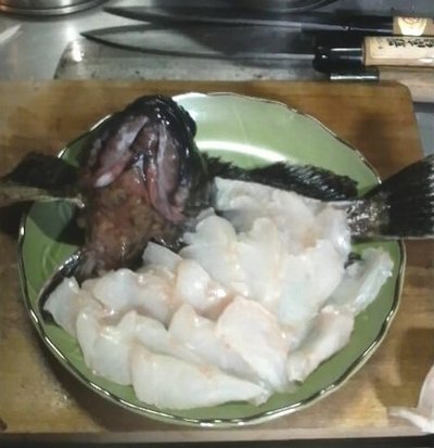 チョイ投げ五目釣り 特大ガシラ・カサゴ お造り