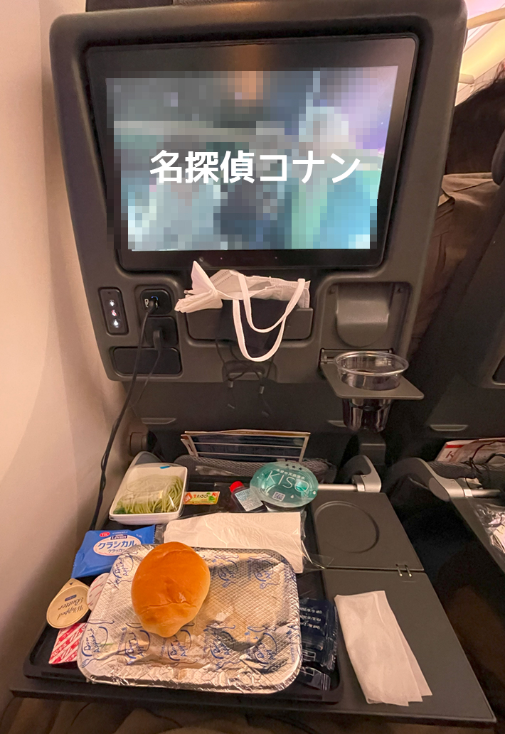 SQ B787-10 エコノミーシート