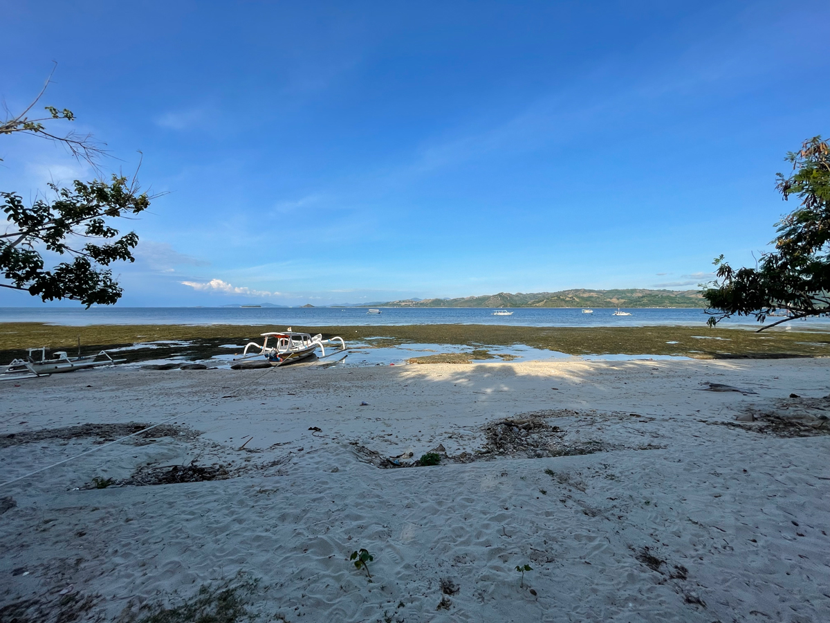 Taqila Trip の前あたりの景色