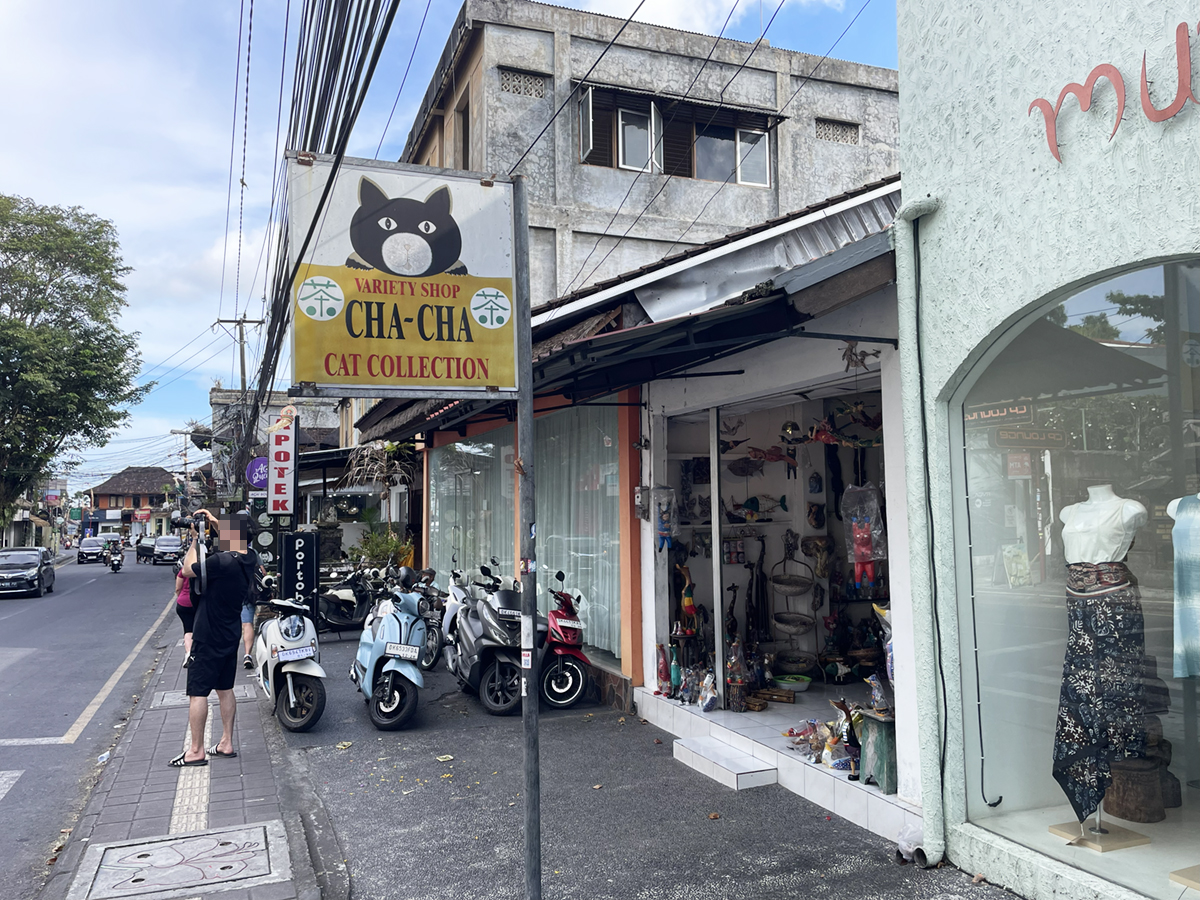 CHA-CHA SHOP CAT Collection(茶 茶)