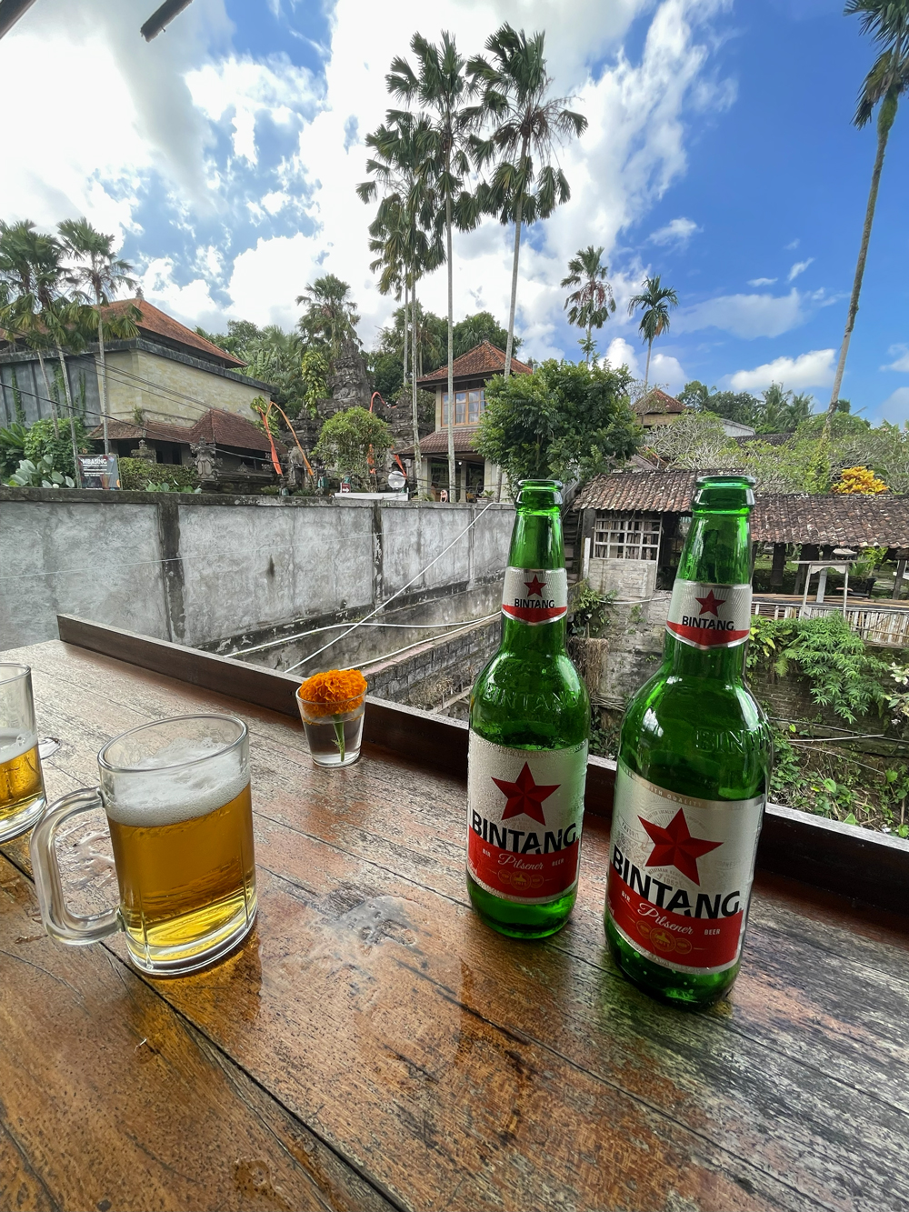 The PAON International Restaurant 景色が見える席 BEERで乾杯